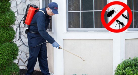 Eğil Kene İlaçlama böcek ilaçlama ve haşere kontrolü — ilaclama-tr.com